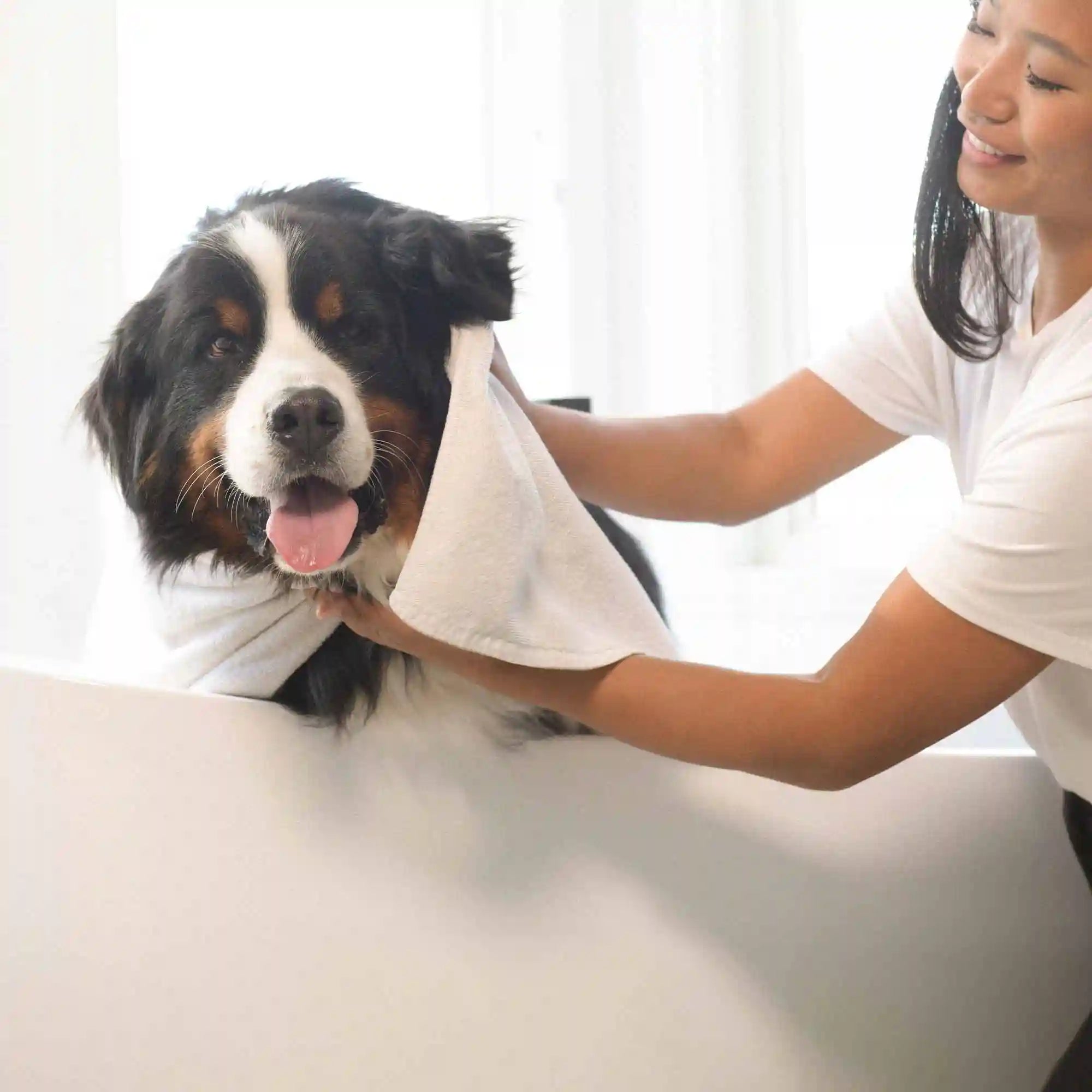 2-in-1 Pet Shampoo & Conditioner - Nourishing