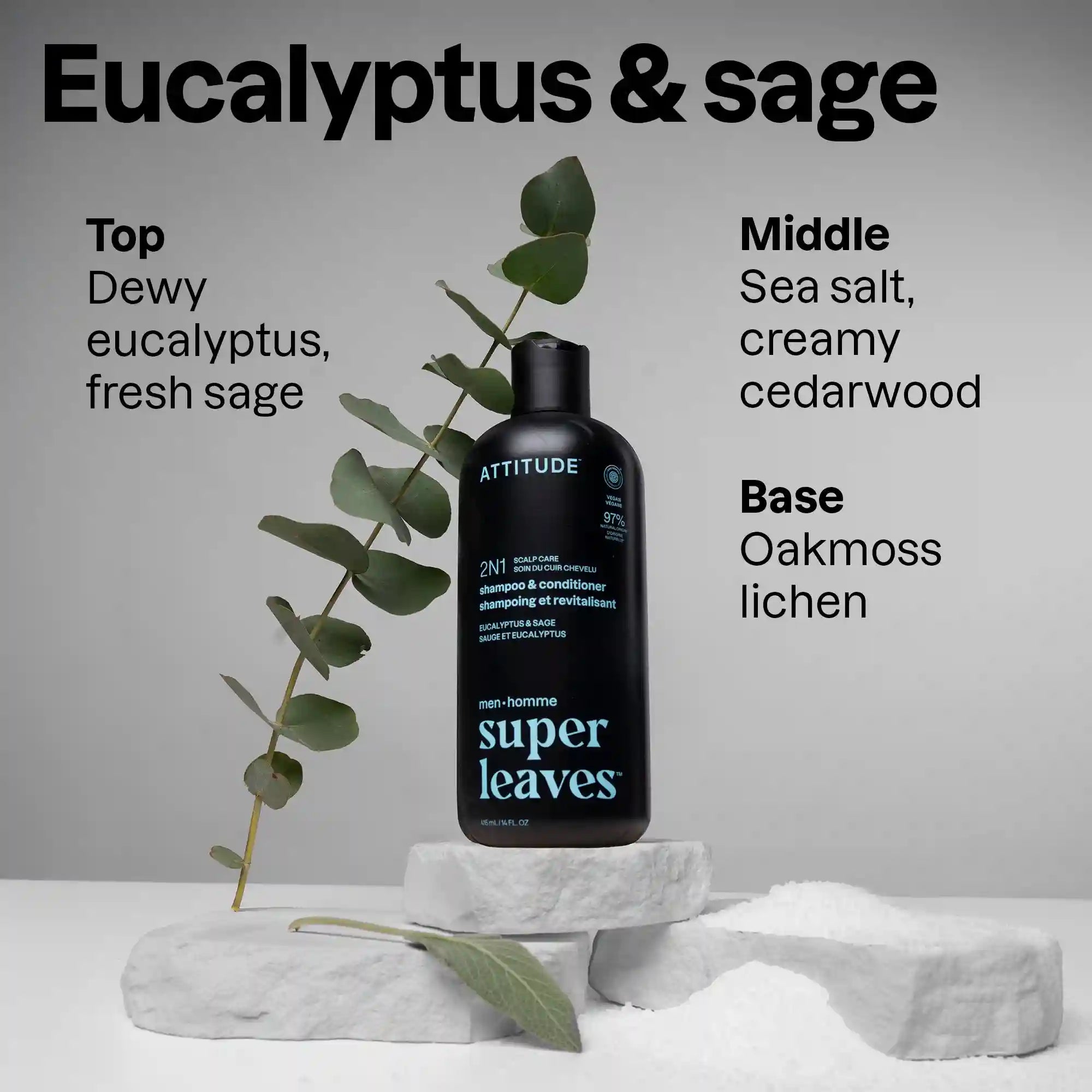 2-in-1 Men Shampoo & Conditioner