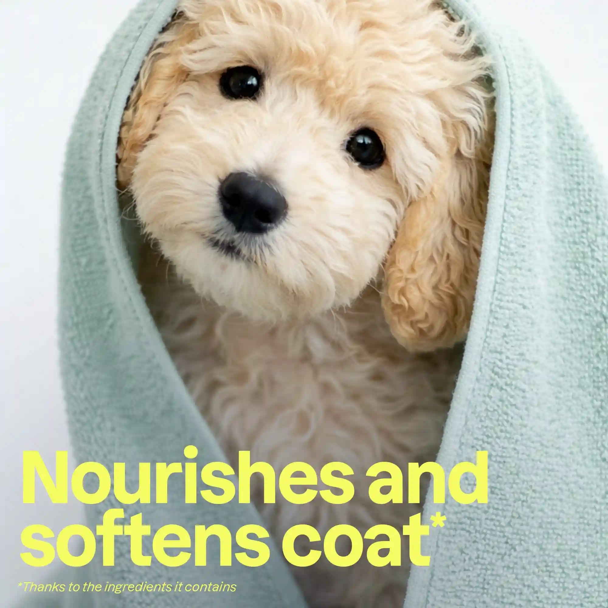 2-in-1 Pet Shampoo & Conditioner - Nourishing