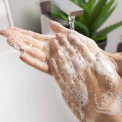 Foaming Hand Soap Kit